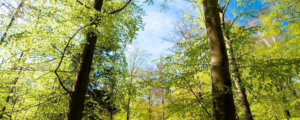 DS Stålprofil bæredygtig produktion